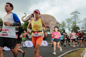 BIB: 
                            <button type="button" onclick="openModal(26528332)" class="btn btn-primary btn-sm float-right btn-popup" data-toggle="modal" data-target=".modal-high-quality">
                        <i class="fas fa-shopping-cart"></i> Add to Cart
                    </button>
                                            <button type="button" onclick="isThisMe(26528332, true)" class="btn btn-success btn-sm float-right btn-popup btn-isme hidden" data-toggle="tooltip" data-placement="bottom" title="นี่คือรูปของคุณใช่ไหม คลิกที่นี่เพื่อเอาเข้าอัลบั้ม">
                        <i class="fas fa-plus"></i> Add to album
                    </button>
                    <button type="button" onclick="isThisMe(26528332, false)" class="btn btn-warning btn-sm float-right btn-popup btn-isnotme hidden">
                        <i class="fas fa-ban"></i> Remove from album
                    </button>